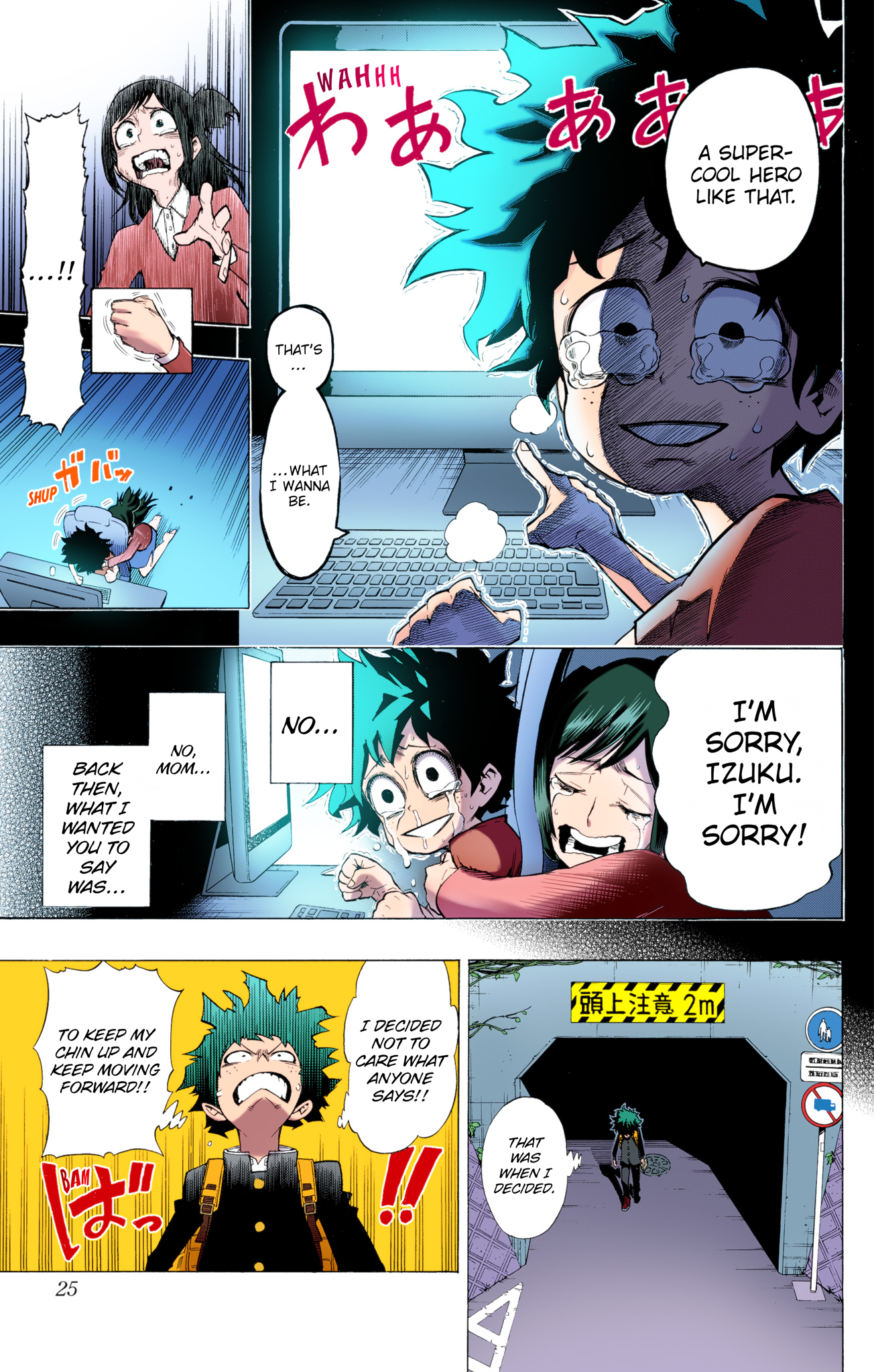 Page 25
