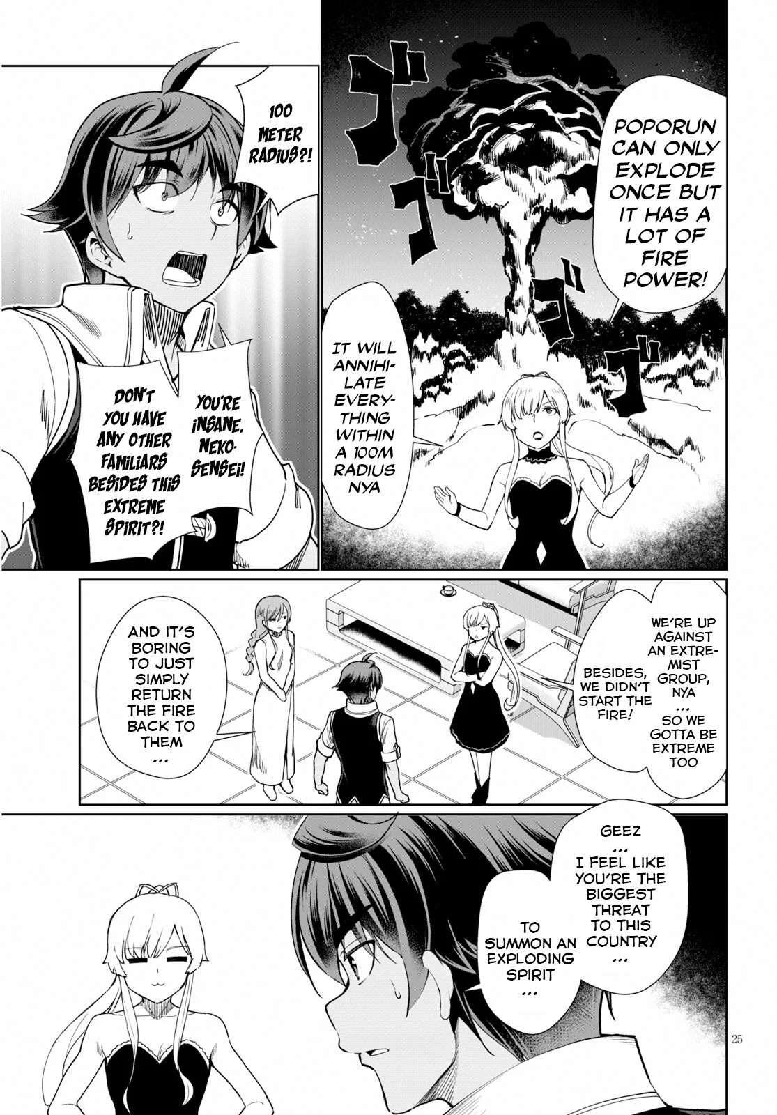 Page 25