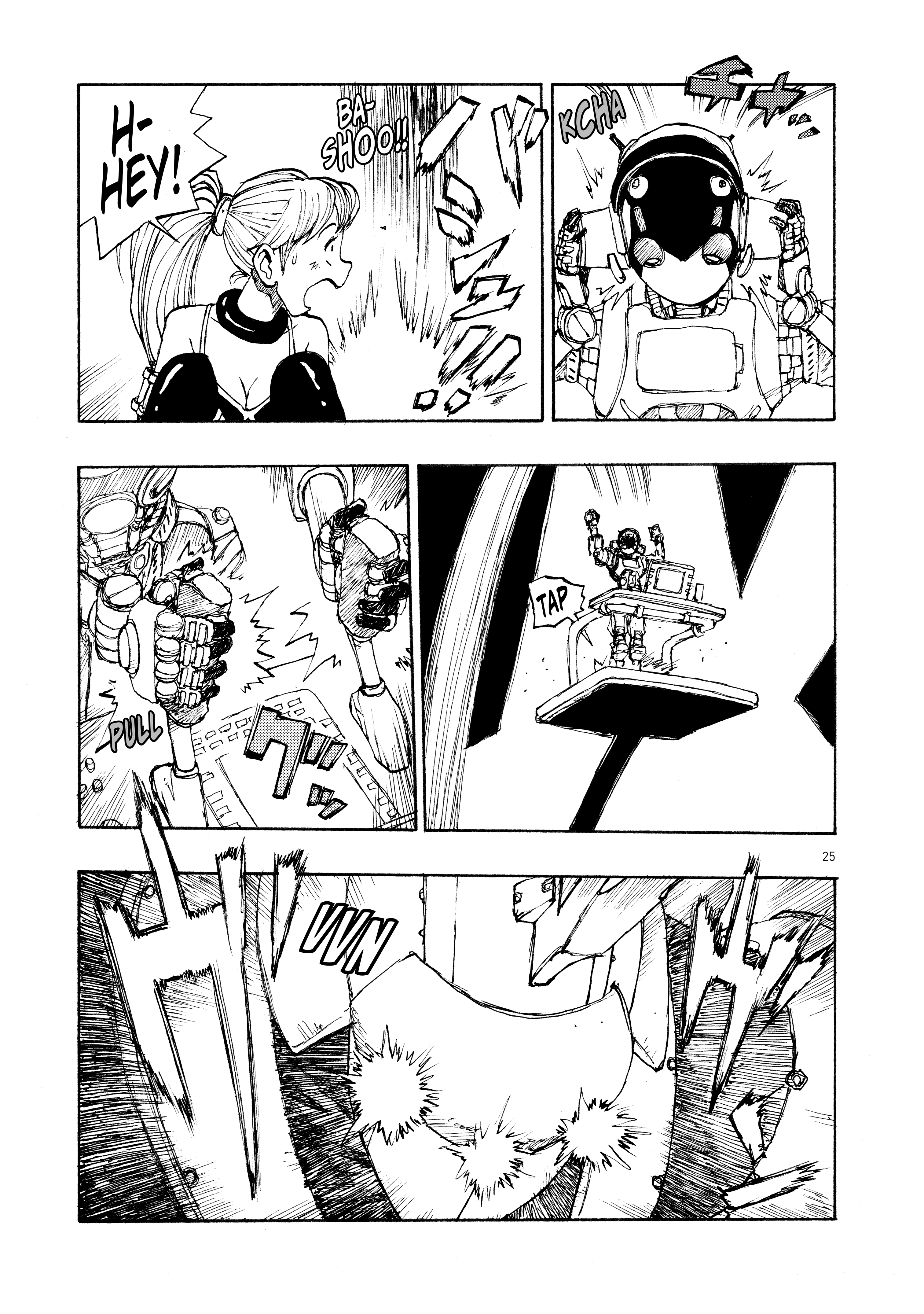 Page 25