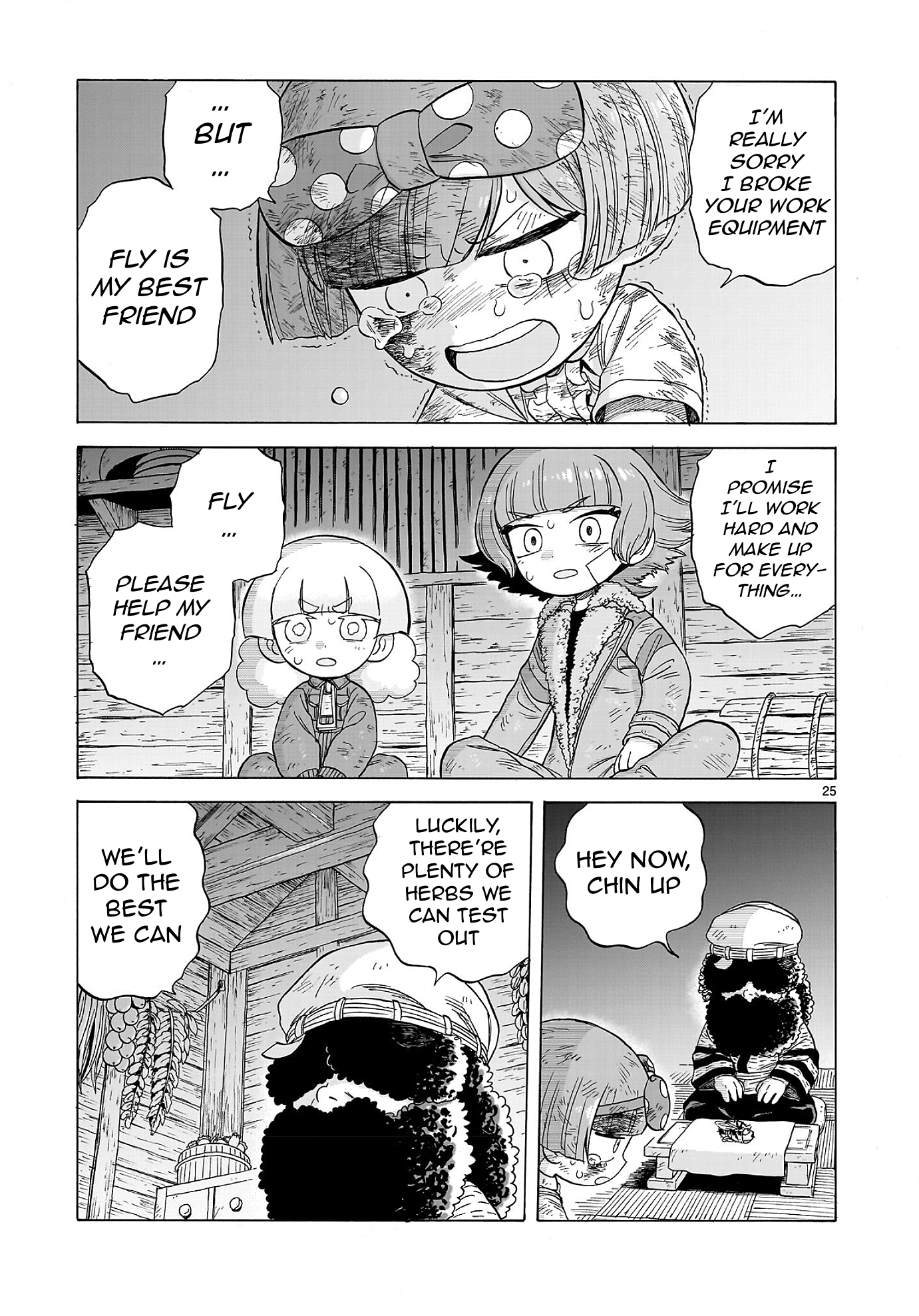 Page 25