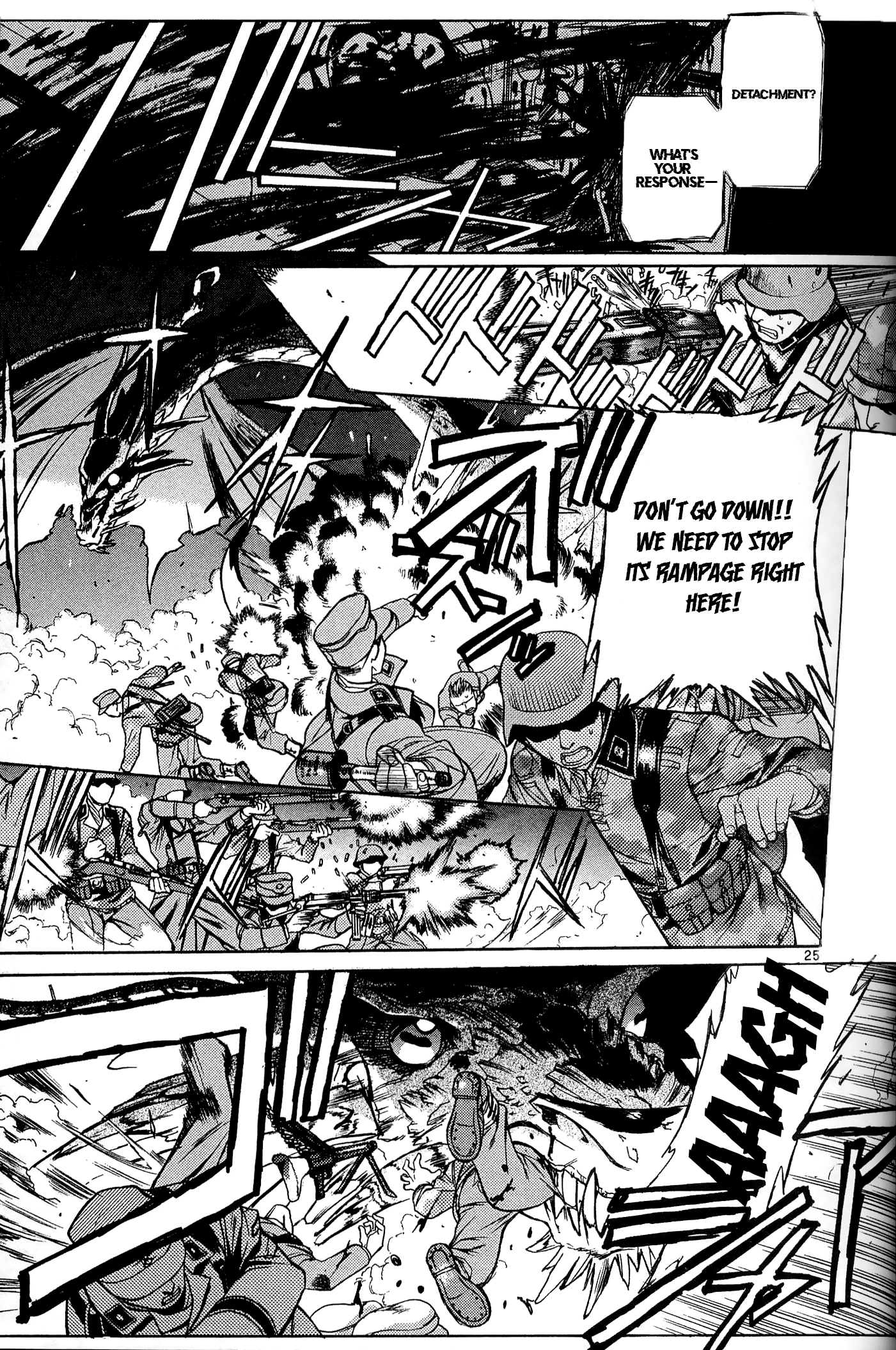 Page 25