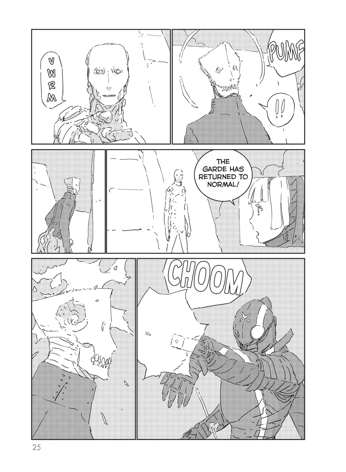 Page 25