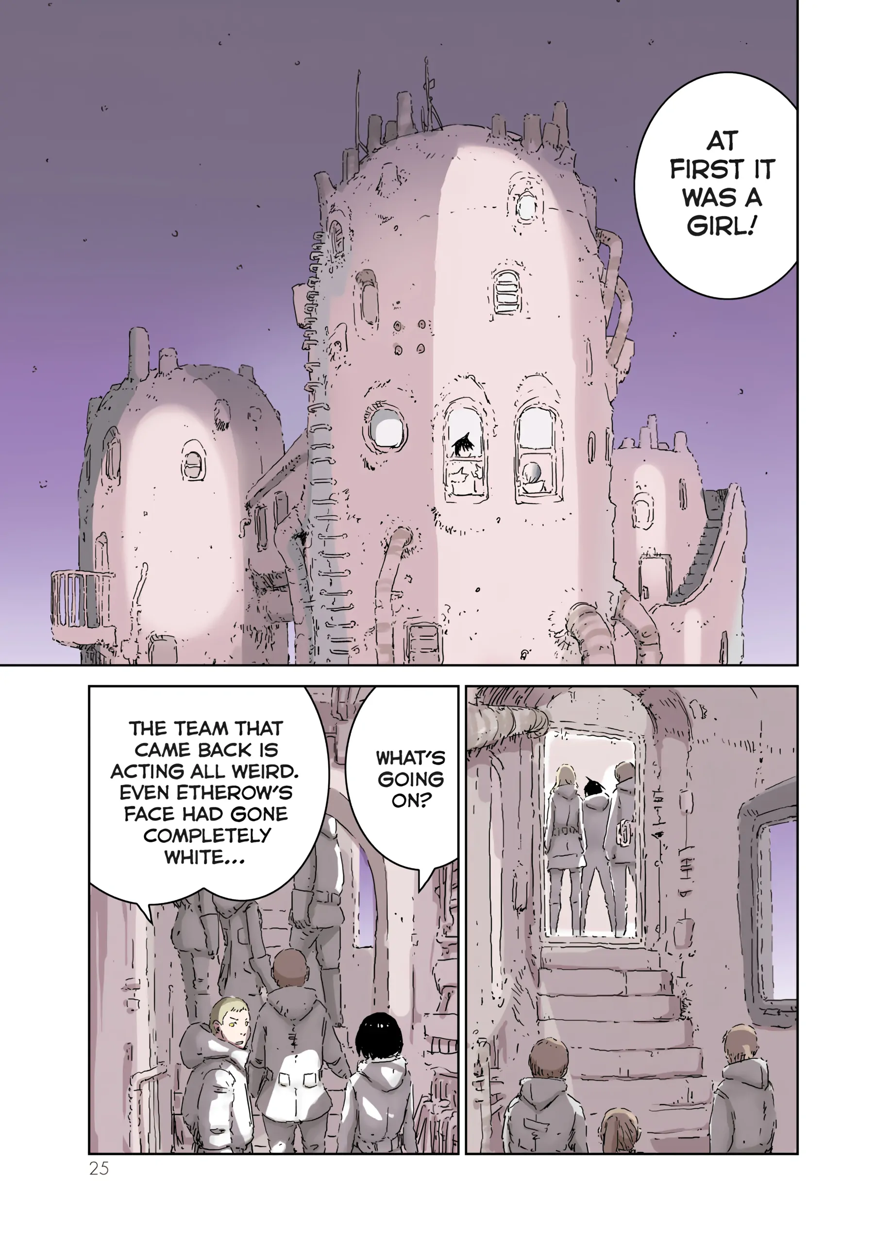 Page 25