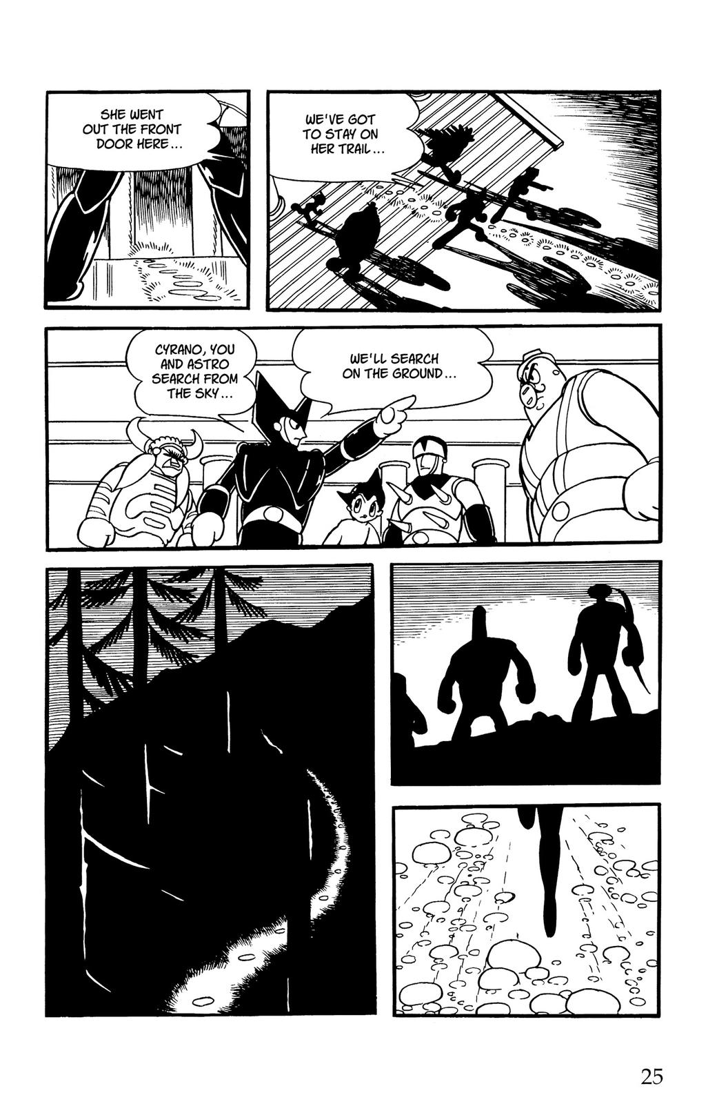 Page 25