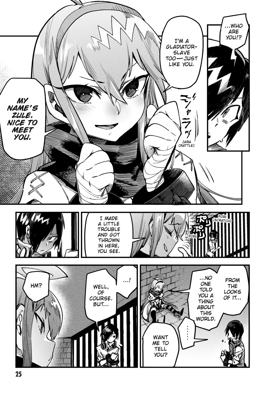 Page 25