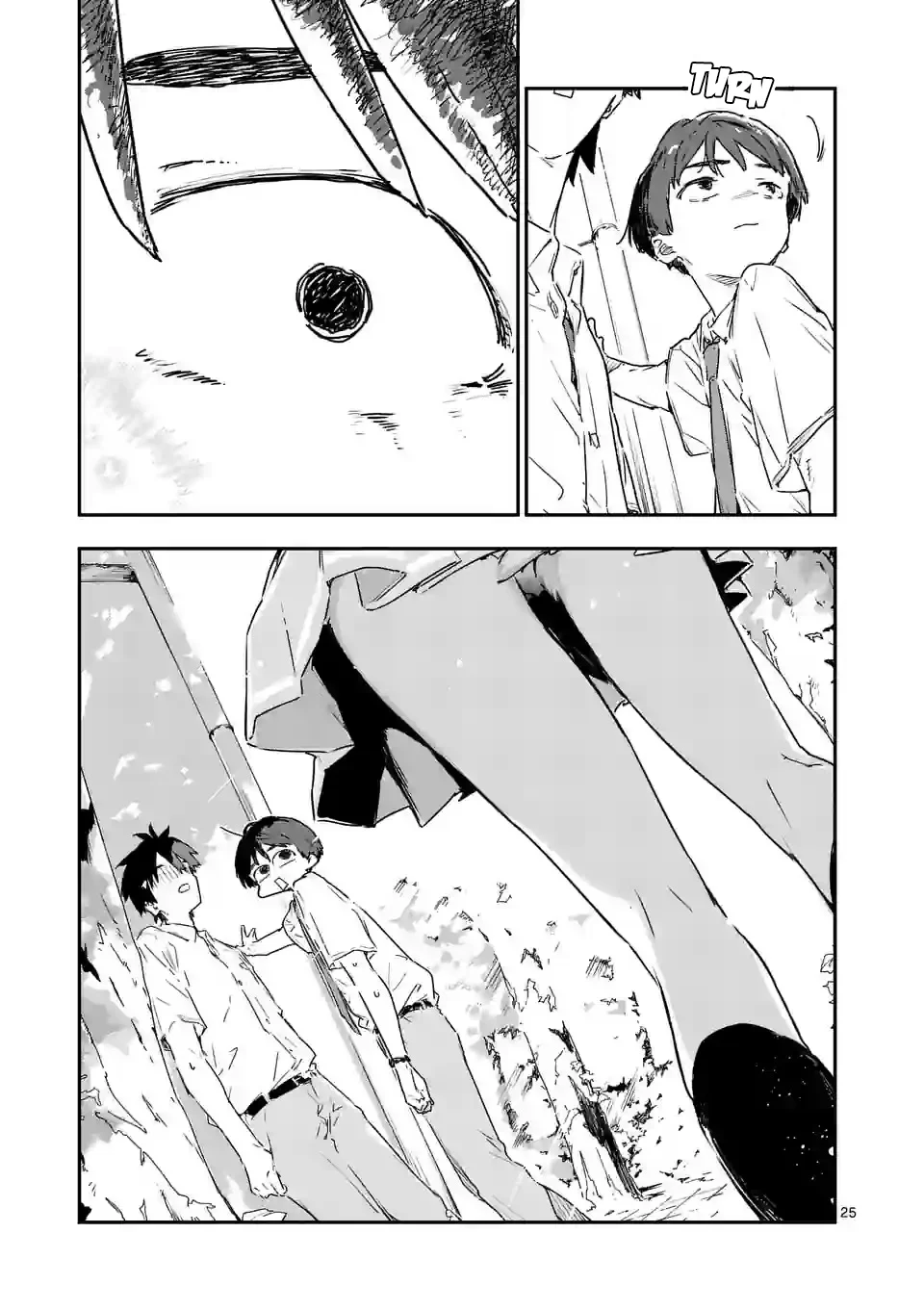 Page 25