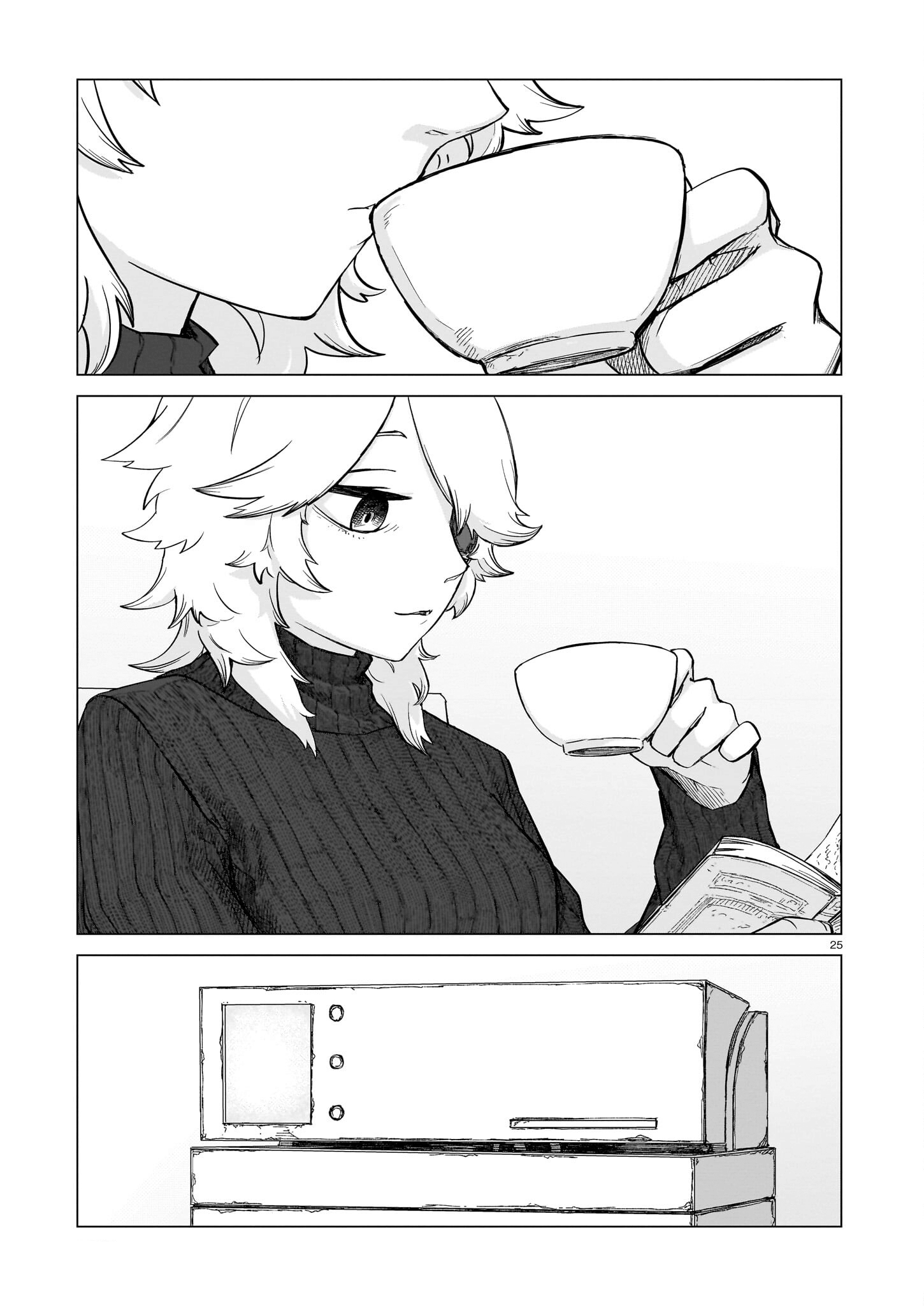 Page 25