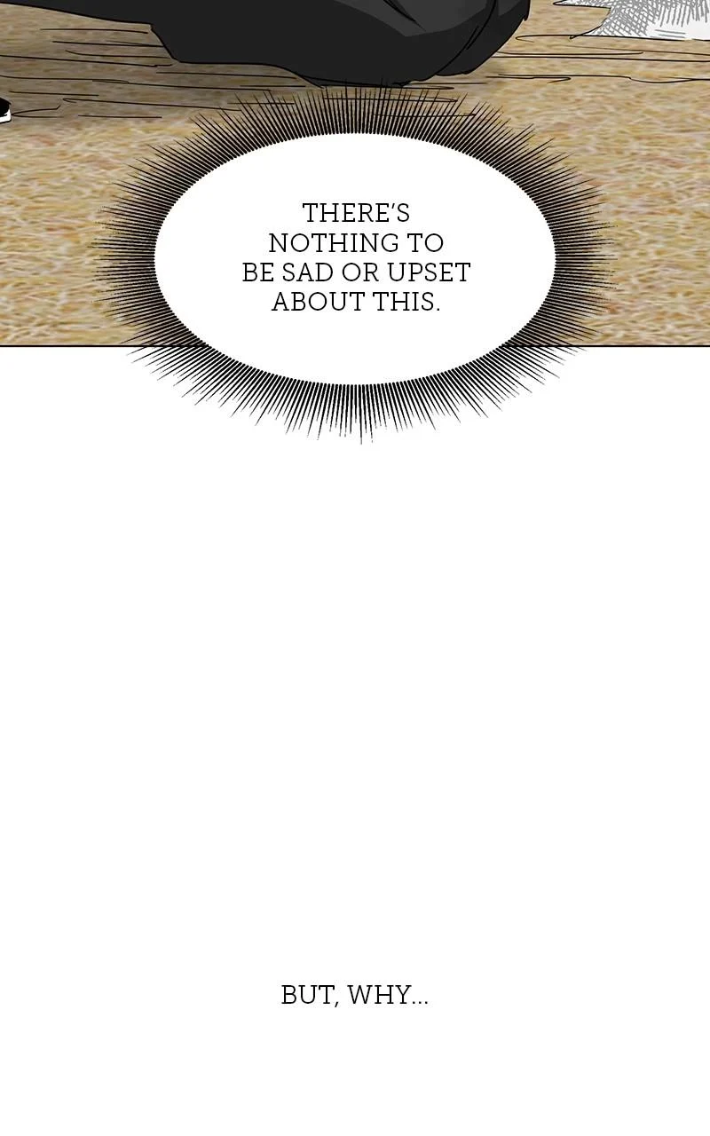Page 242