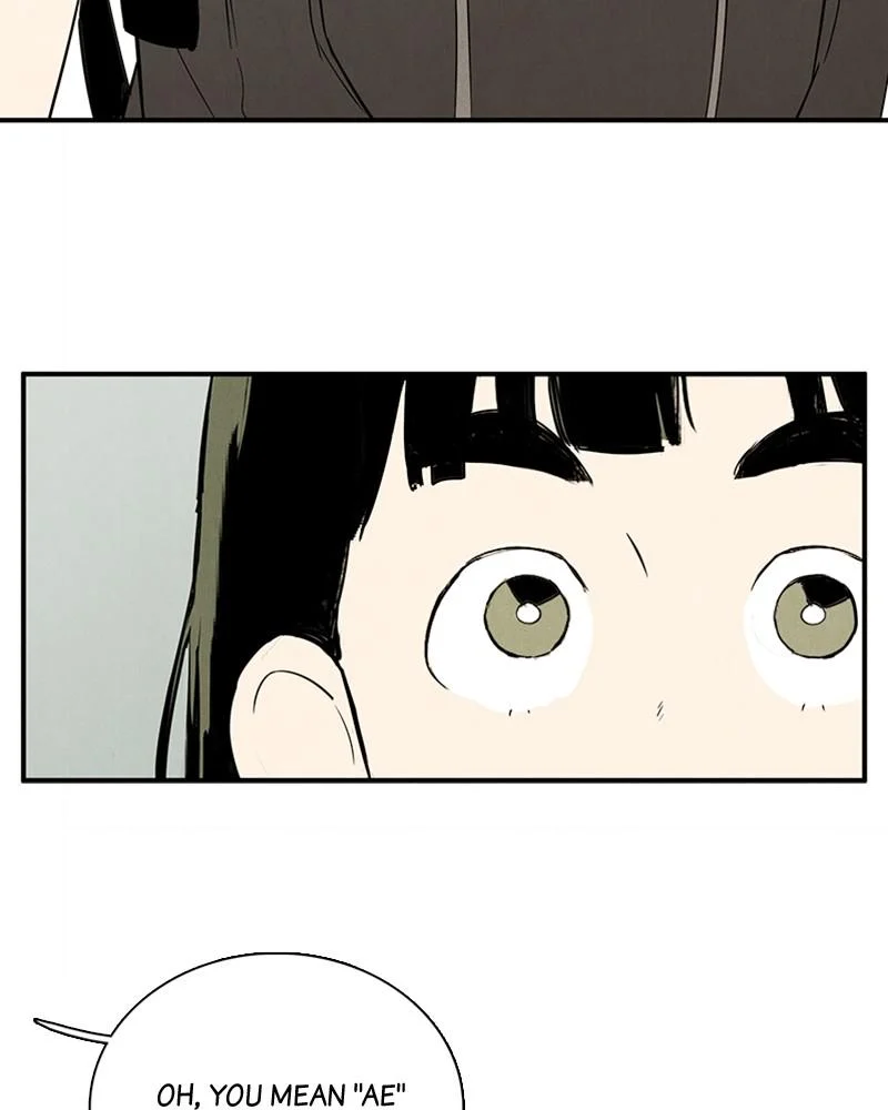 Page 243