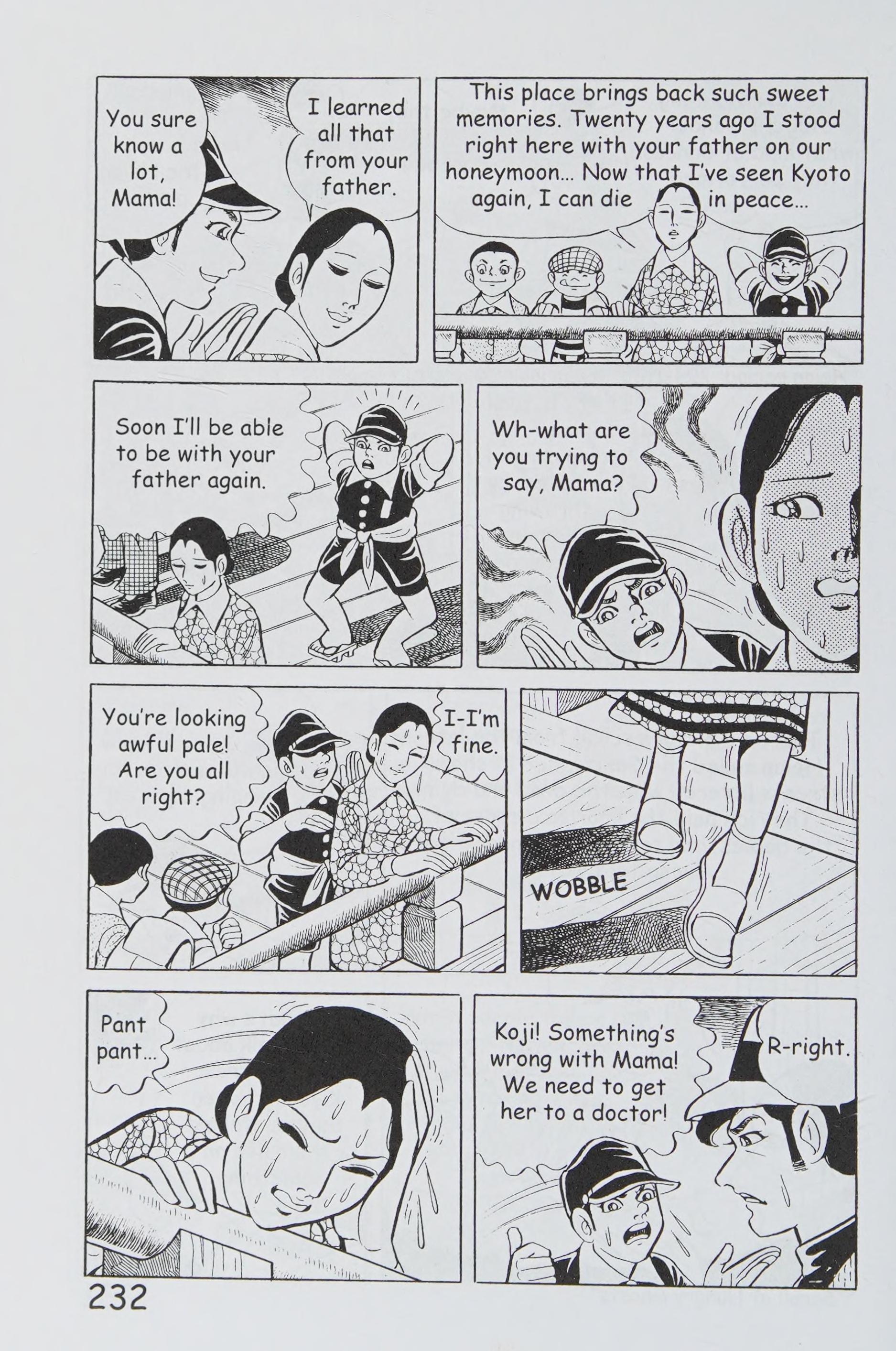 Page 243