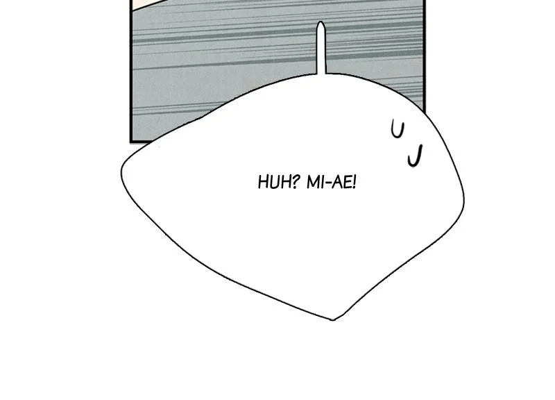 Page 243
