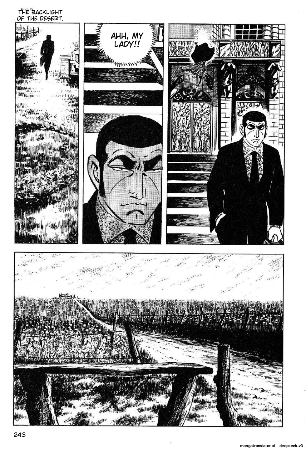 Page 243
