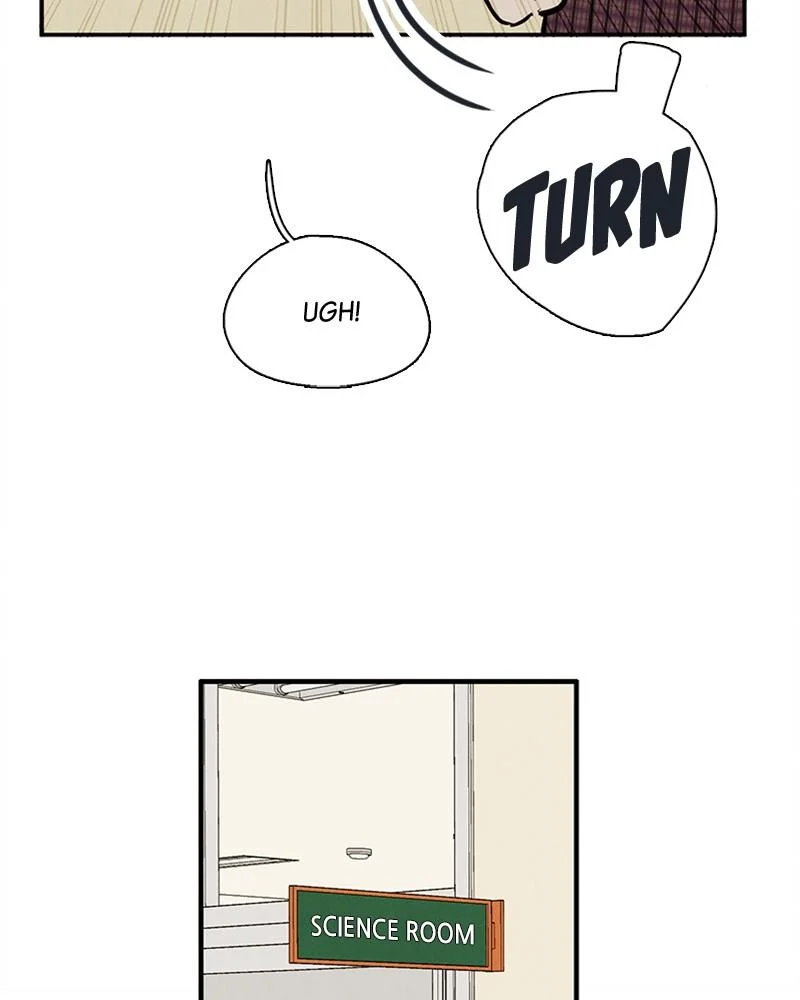 Page 244