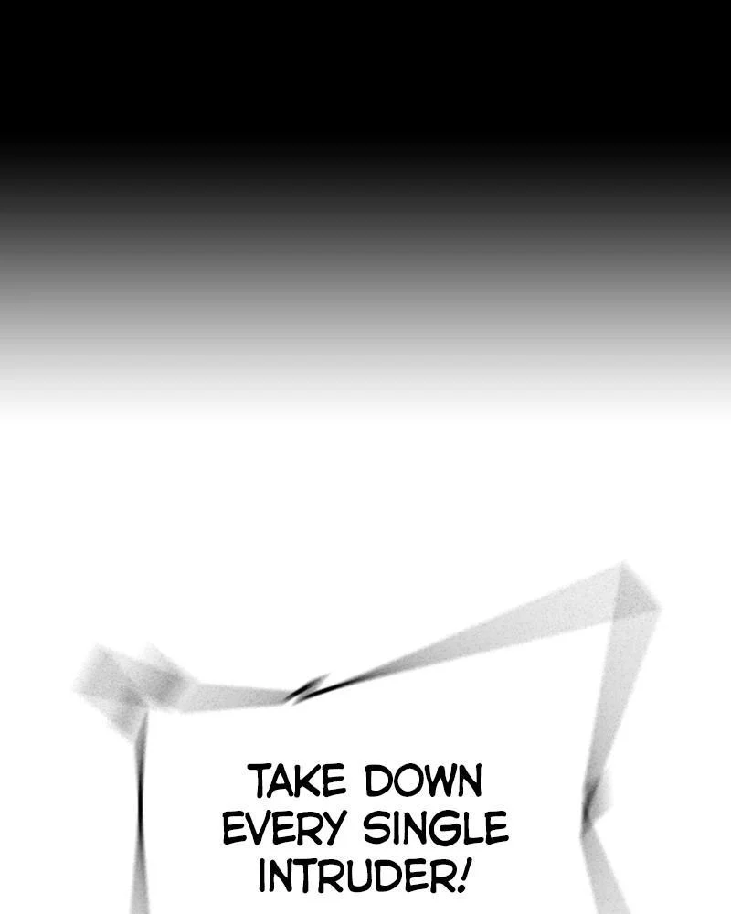 Page 244