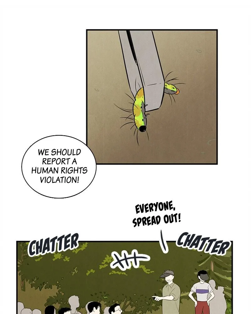 Page 245