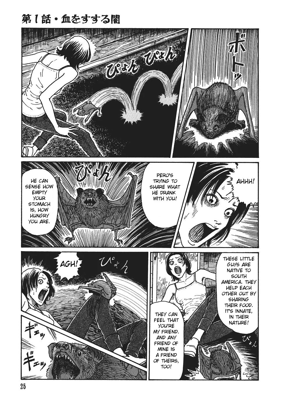 Page 26