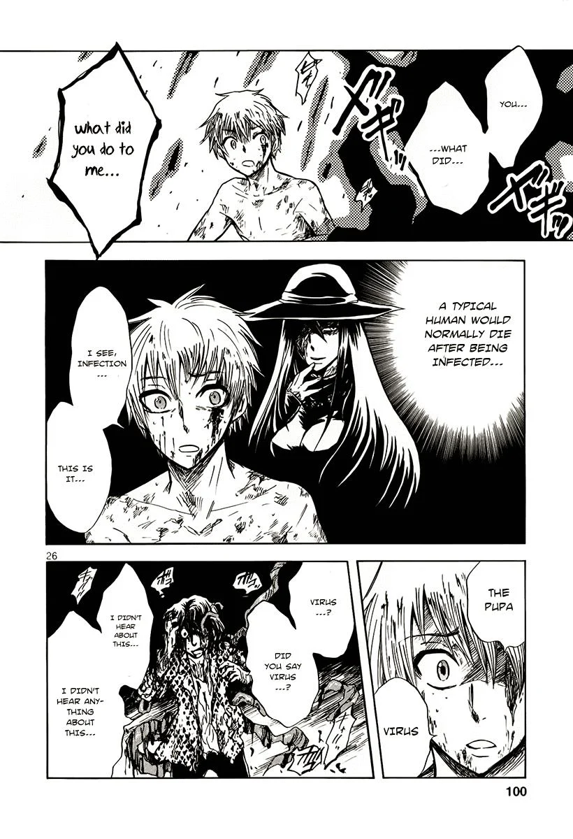 Page 26