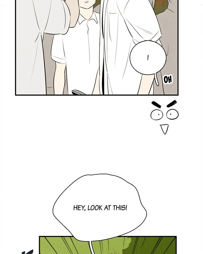 Page 251