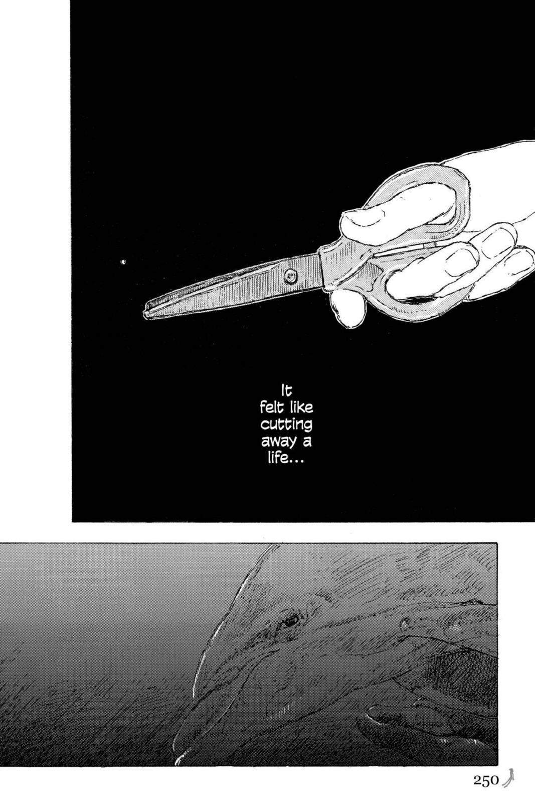 Page 251