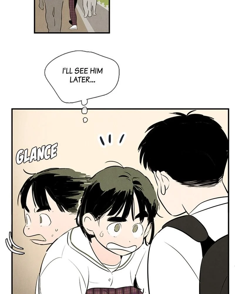 Page 255