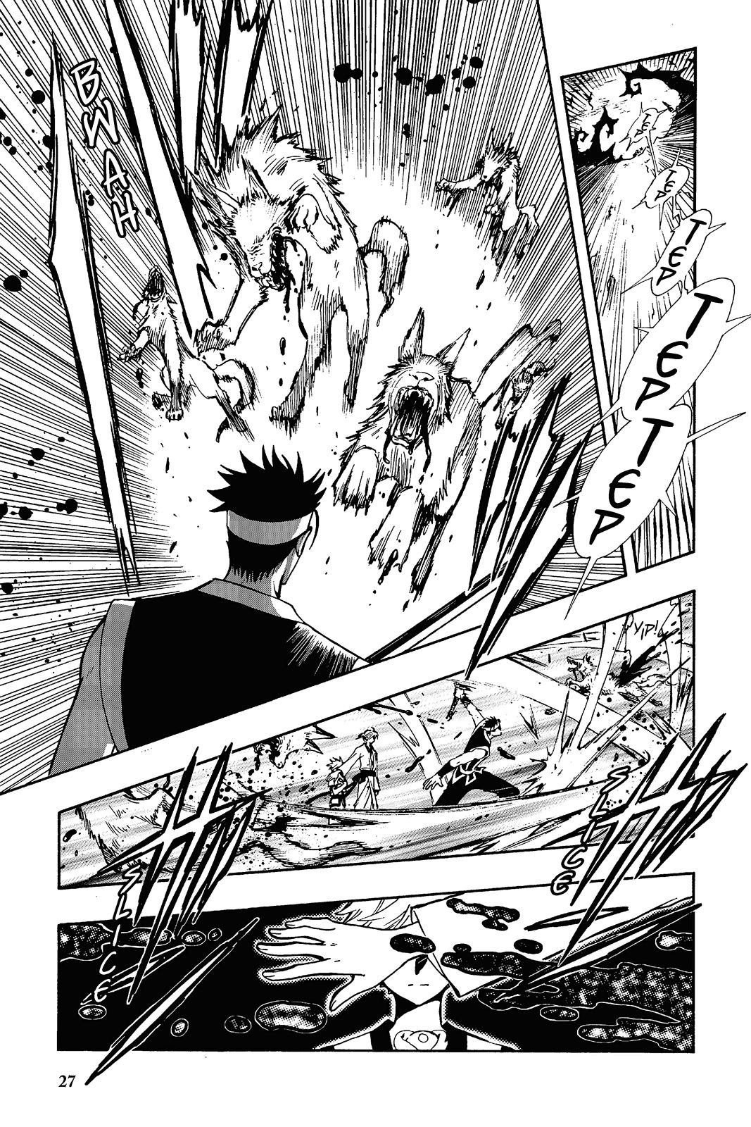 Page 27