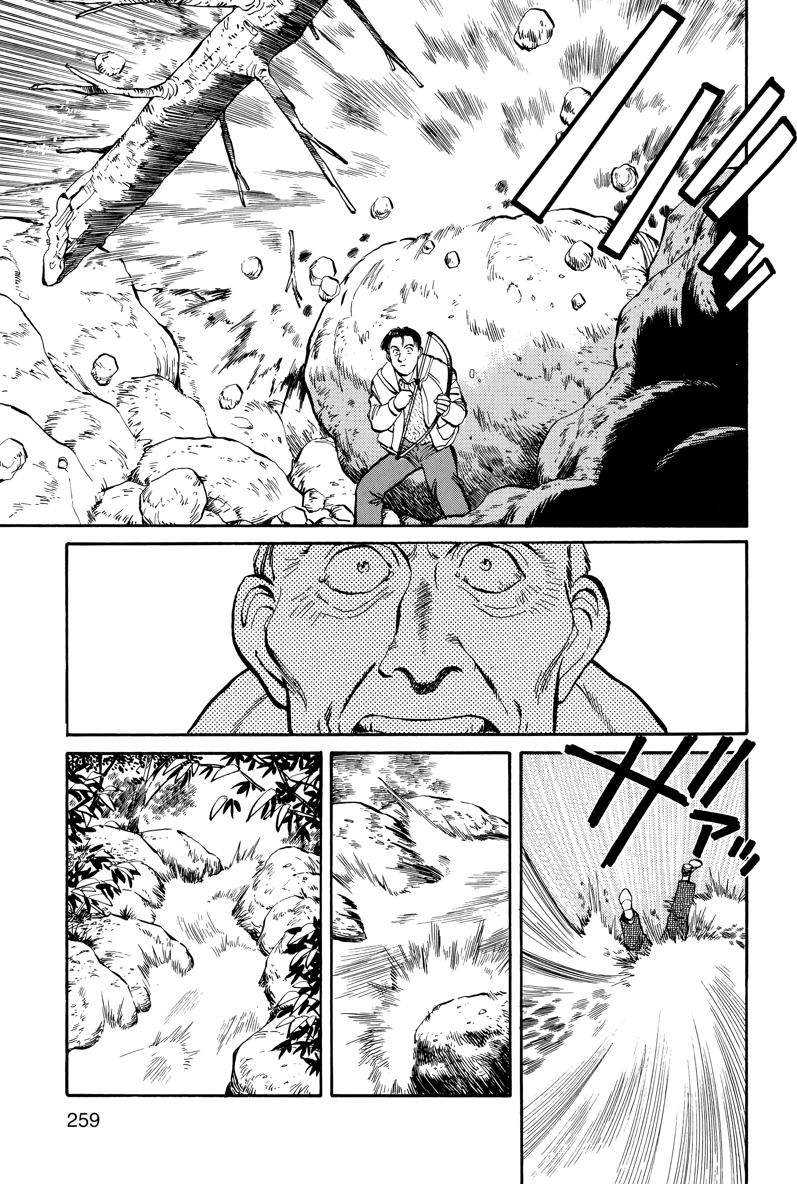 Page 261