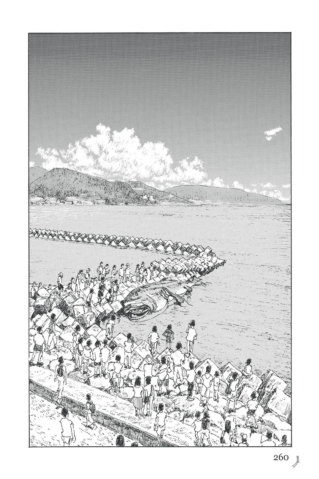 Page 261