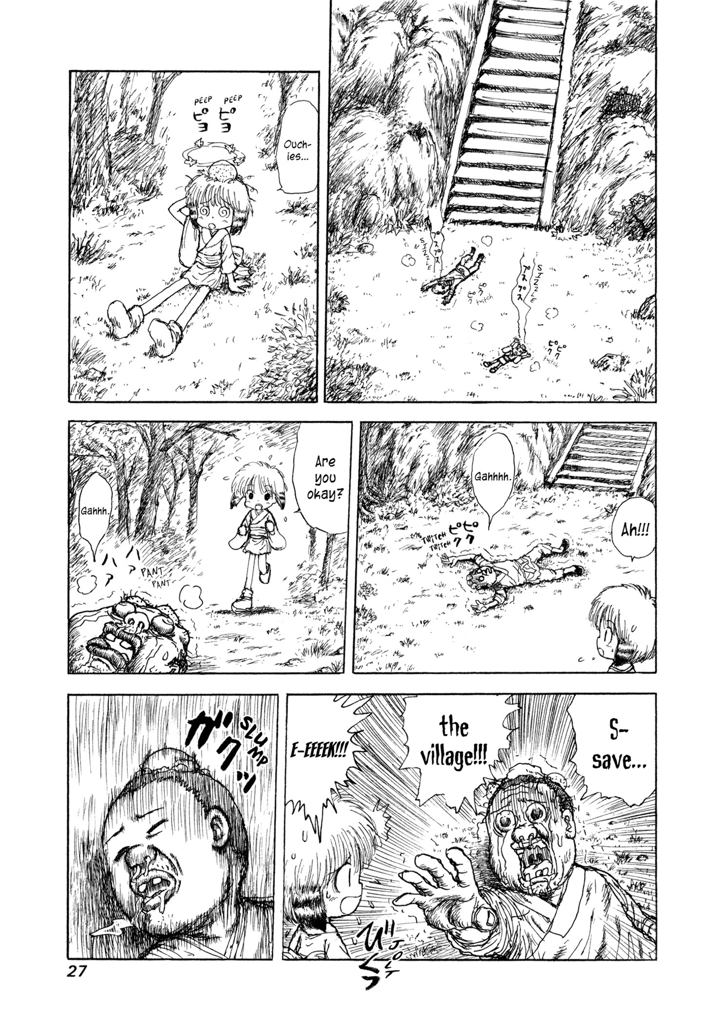 Page 27