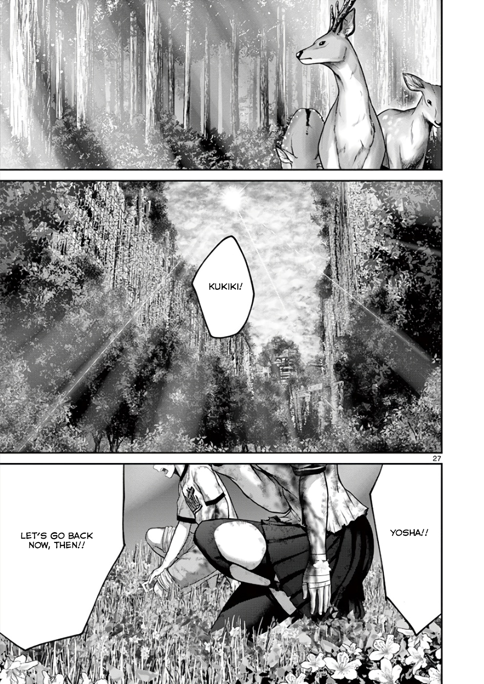 Page 27