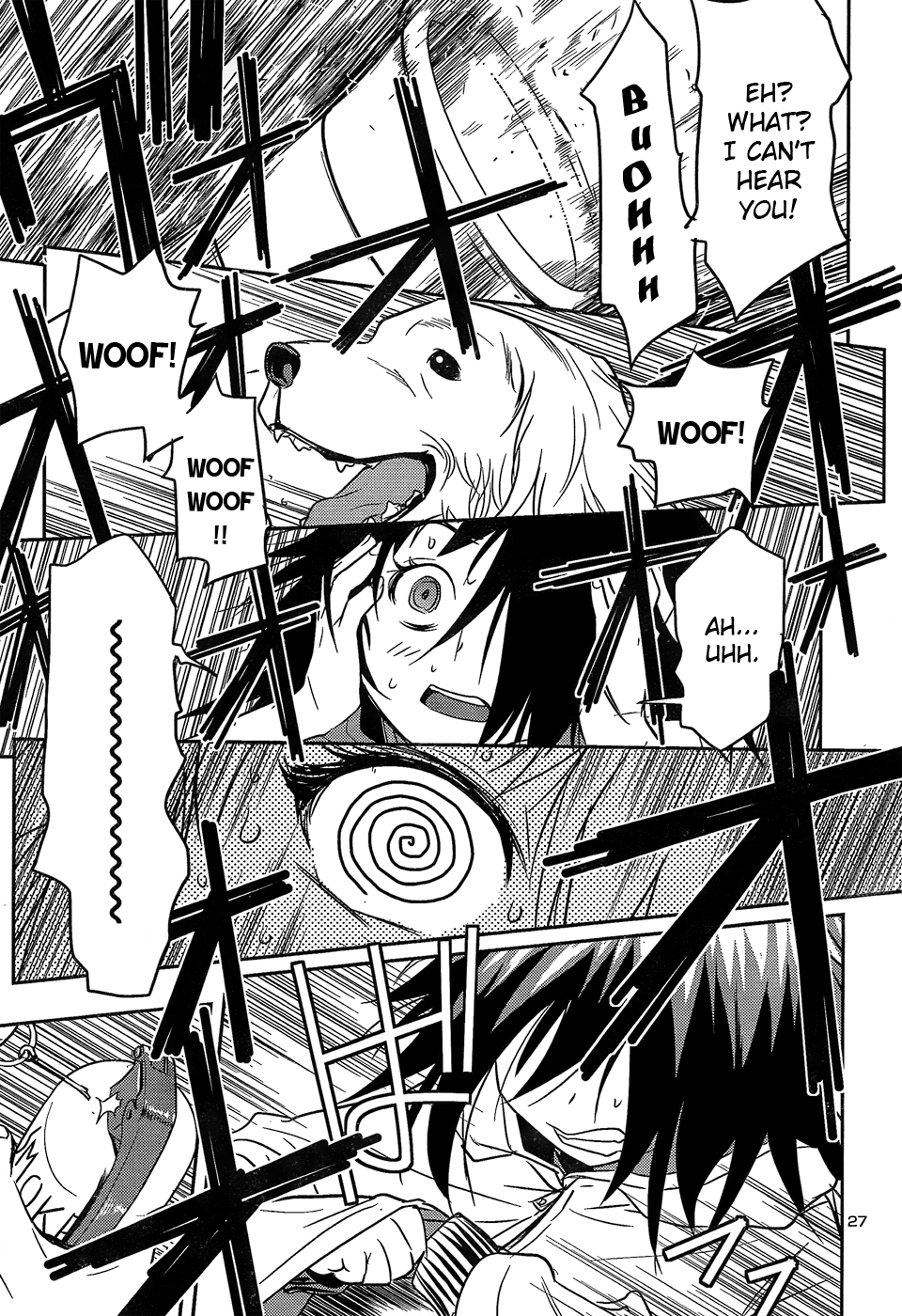 Page 27
