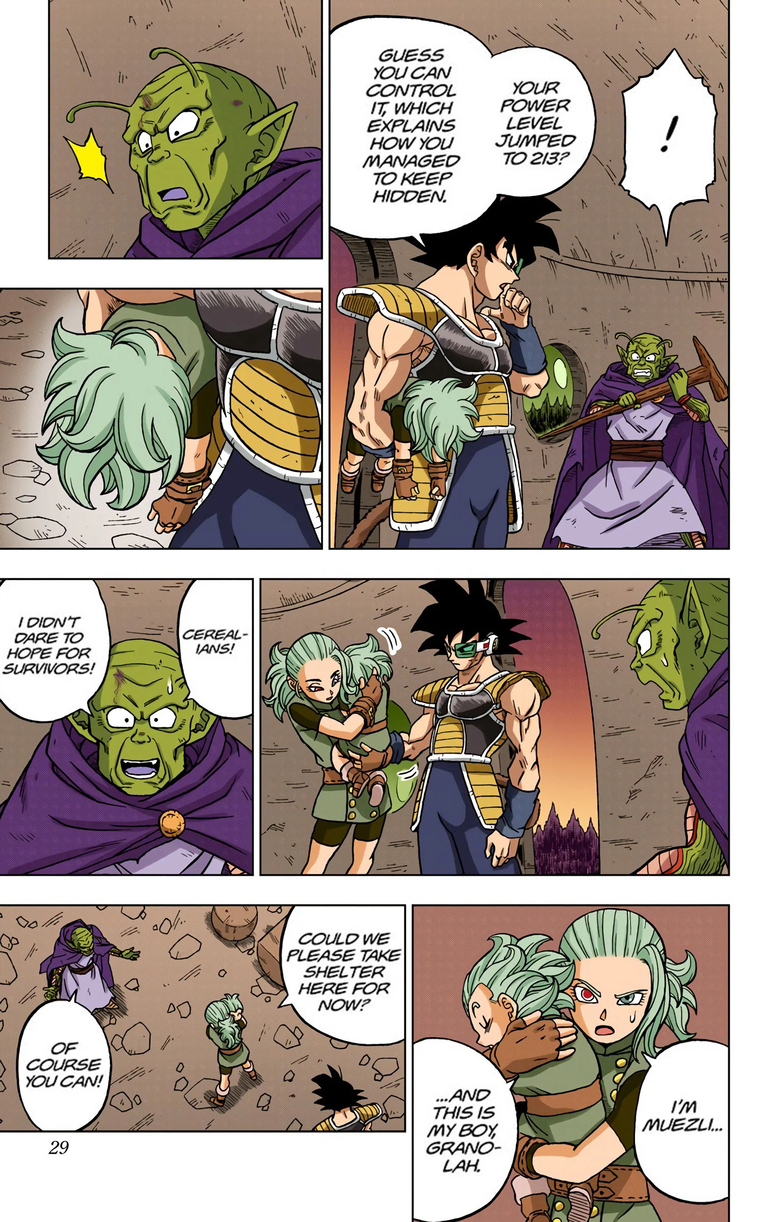 Page 29