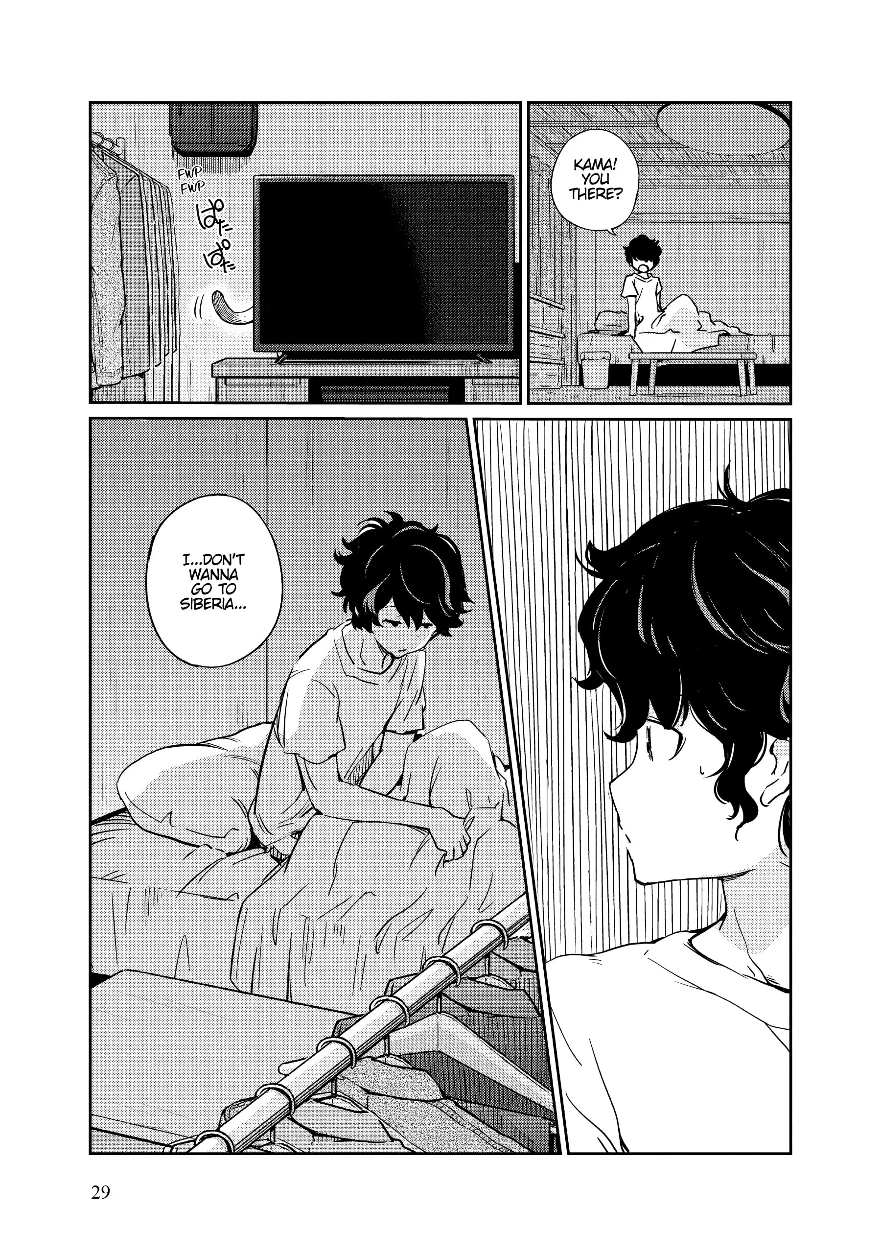 Page 29