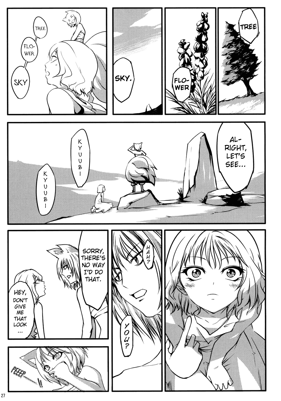 Page 27