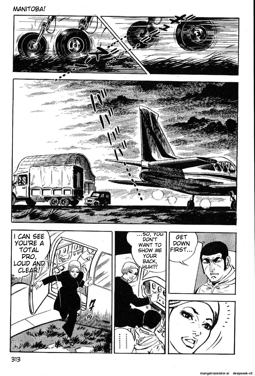Page 315