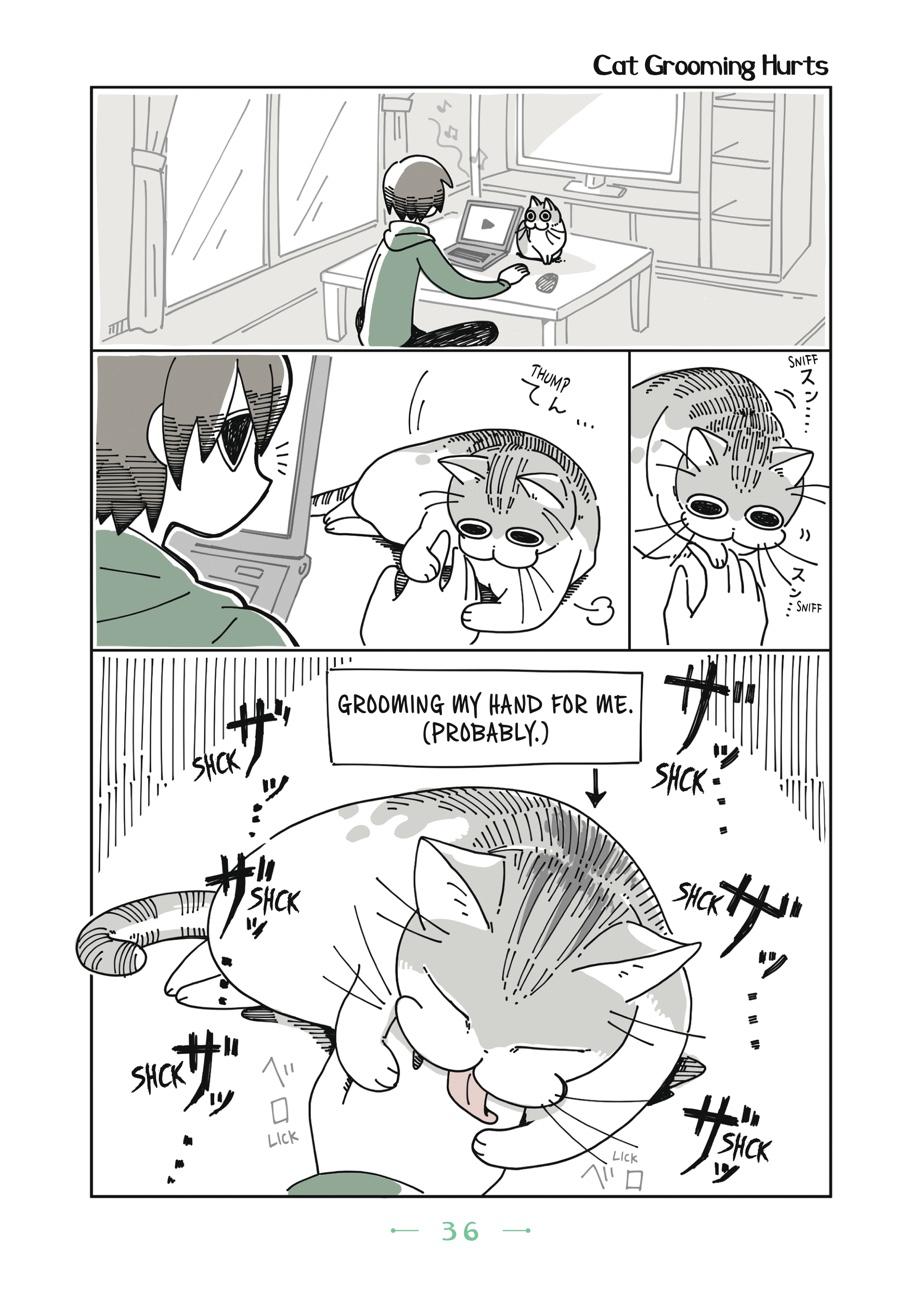 Page 36