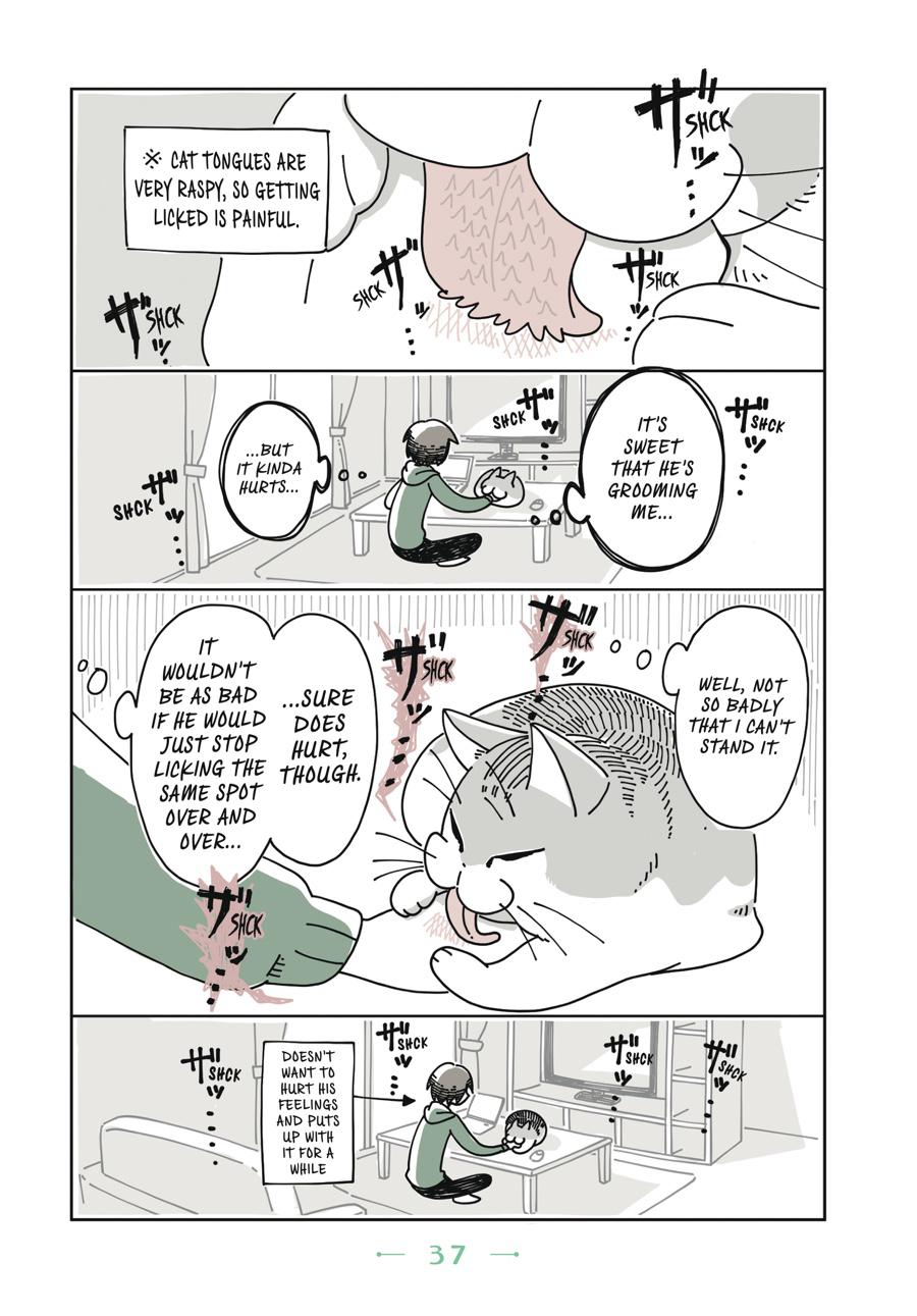 Page 37
