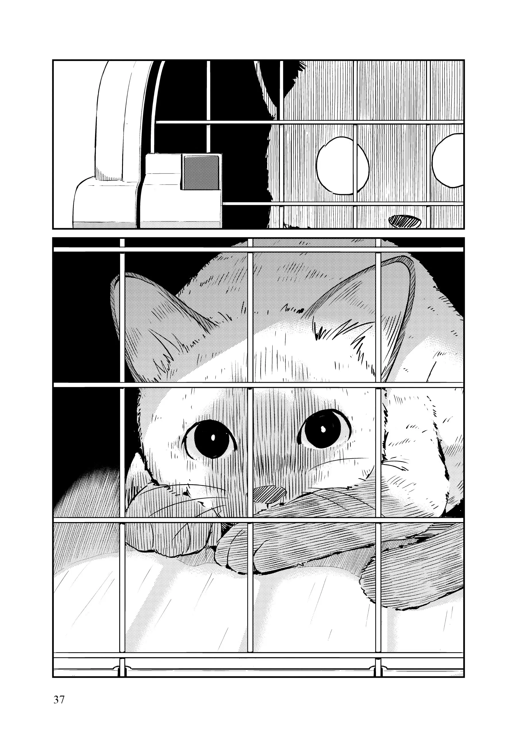 Page 37