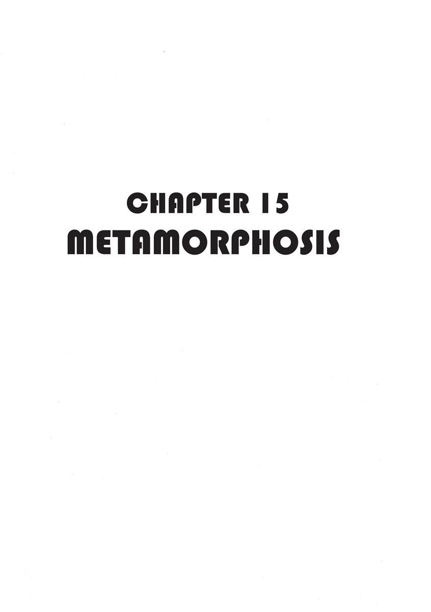 Page 363
