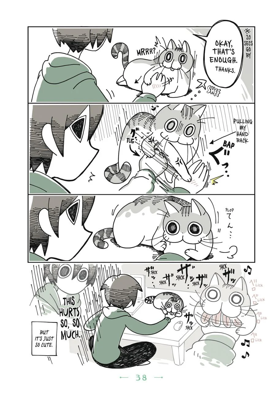 Page 38