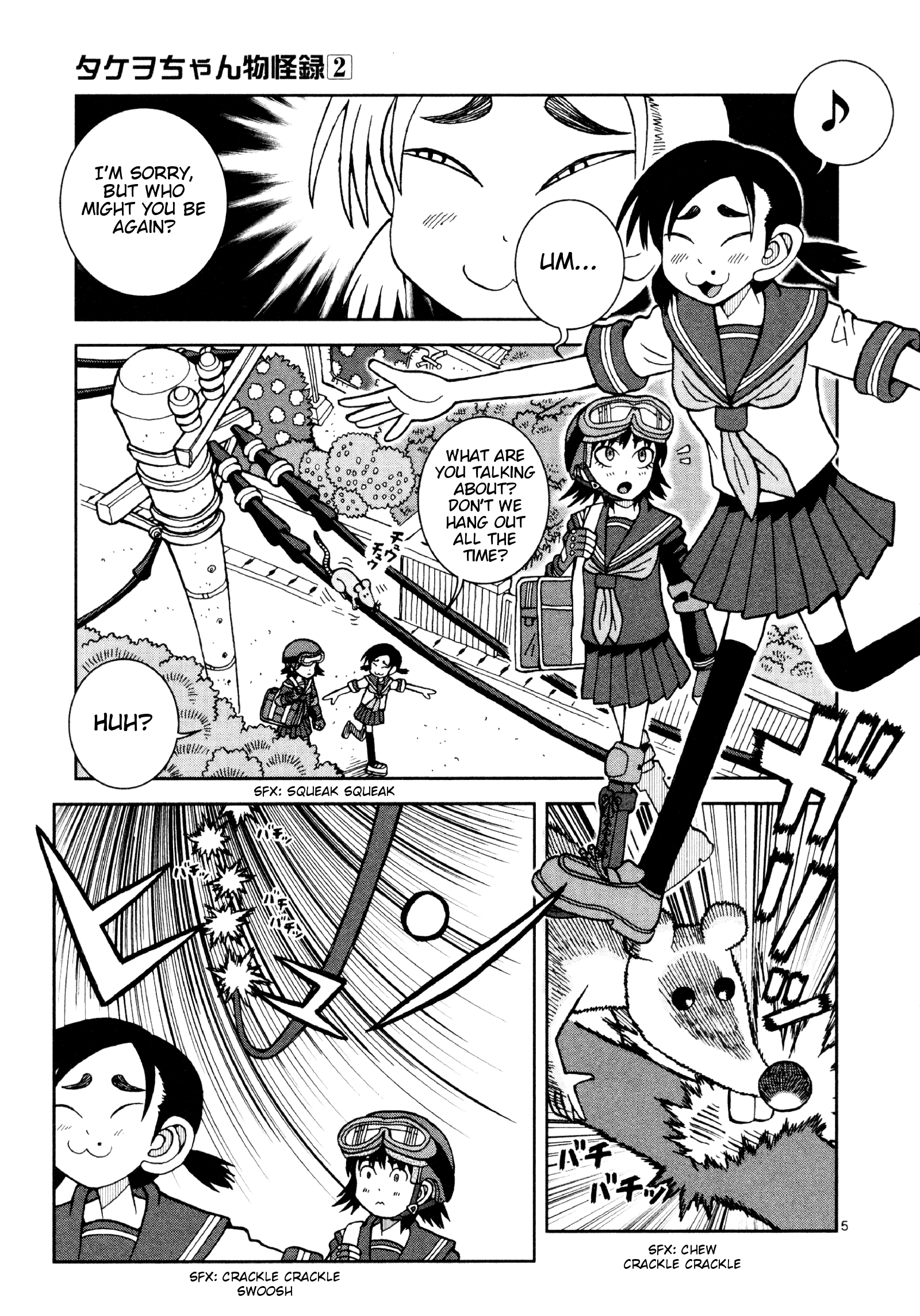 Page 5