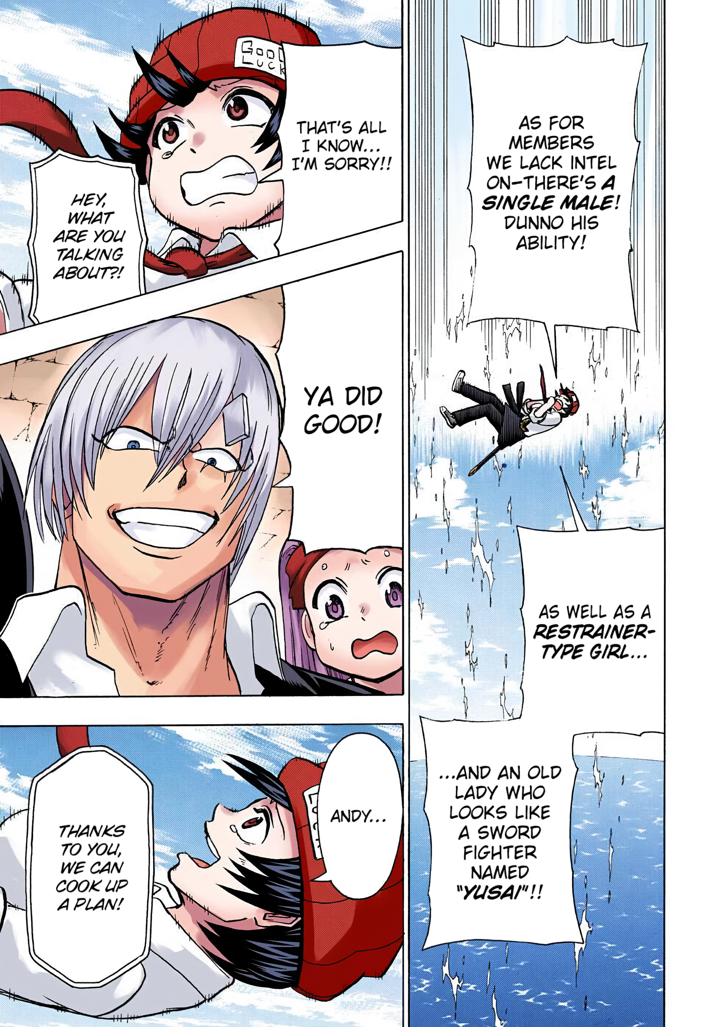 Page 5