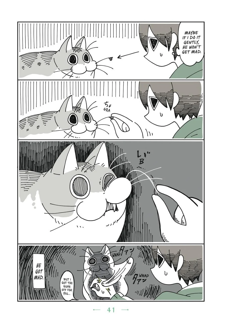 Page 41