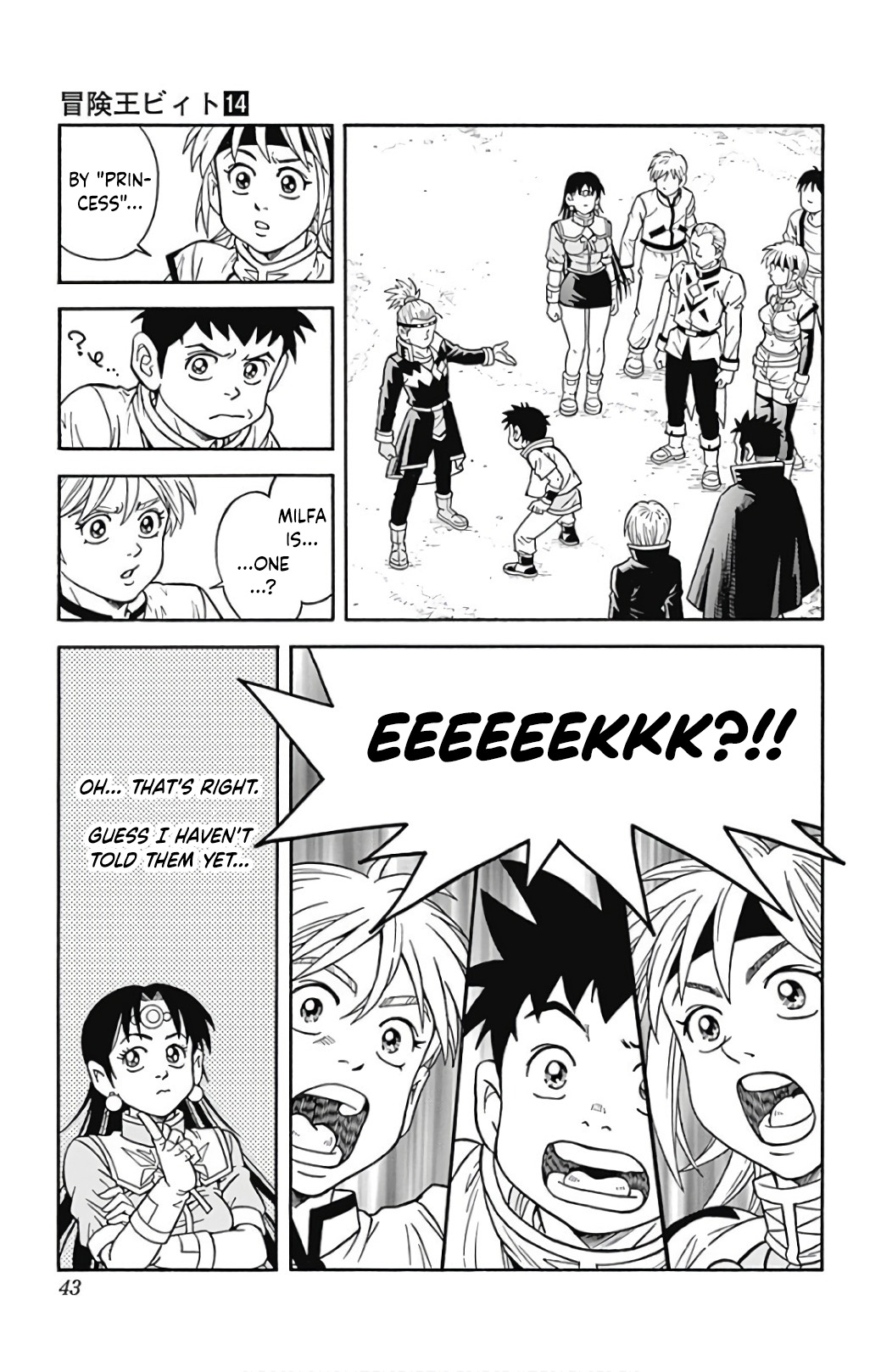 Page 43