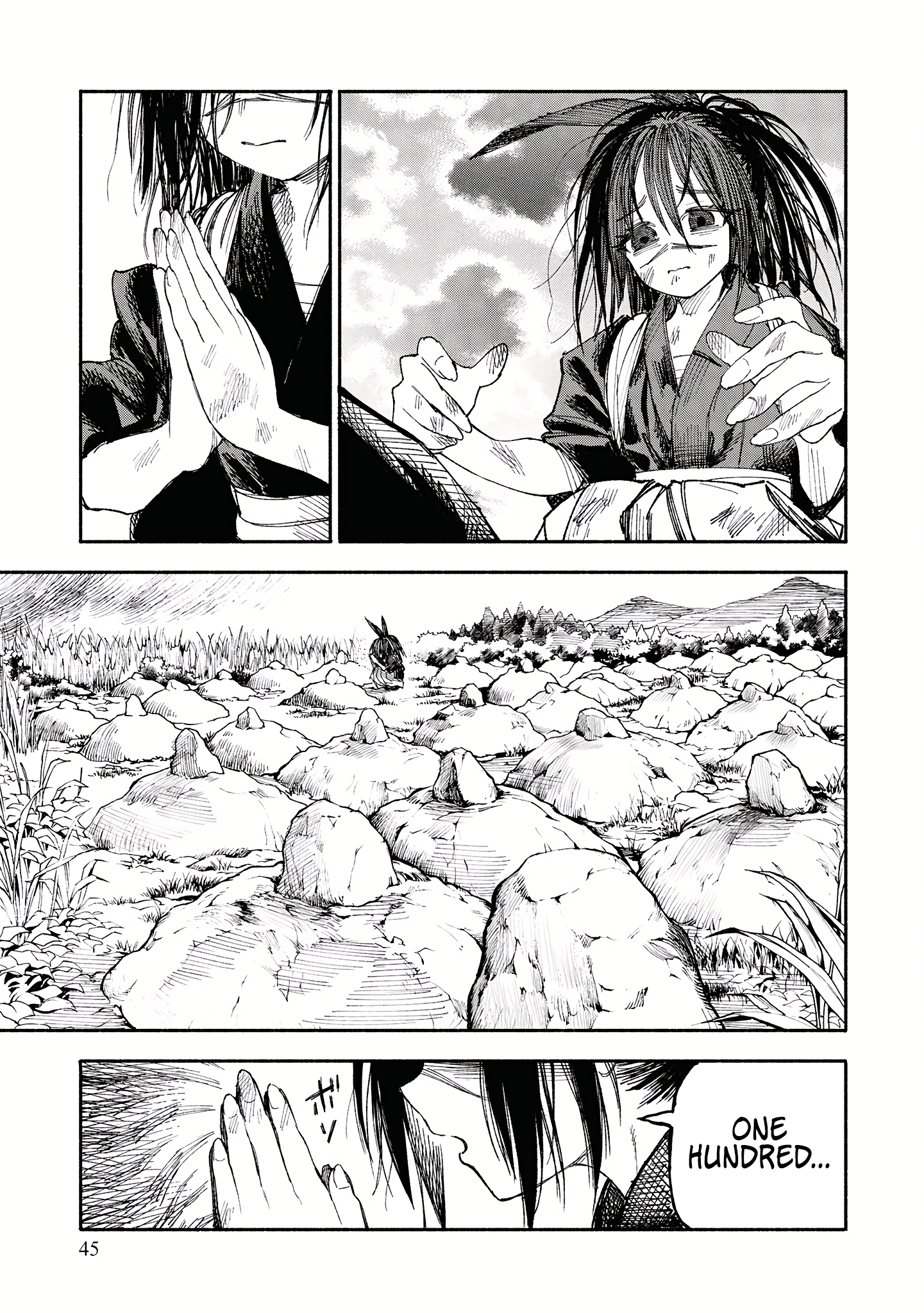 Page 43