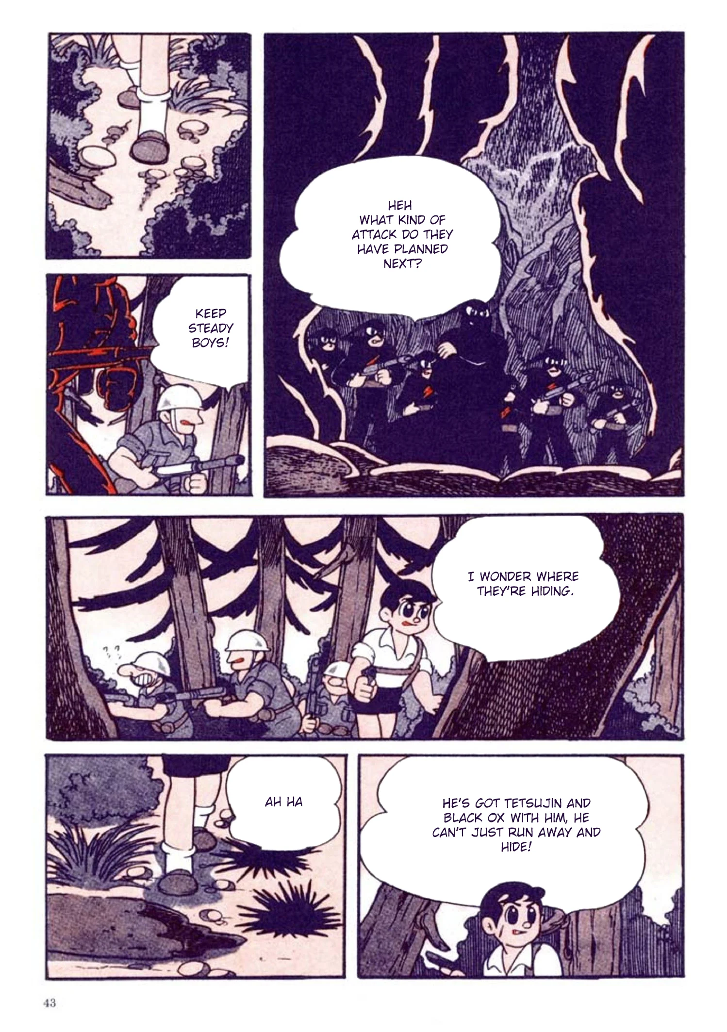 Page 43