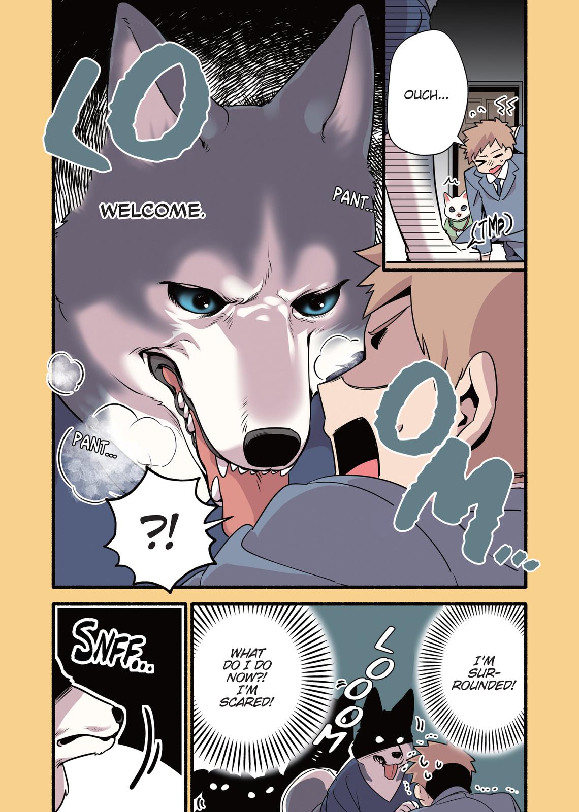 Page 43