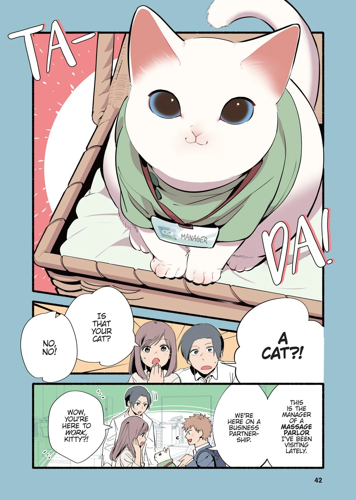 Page 43