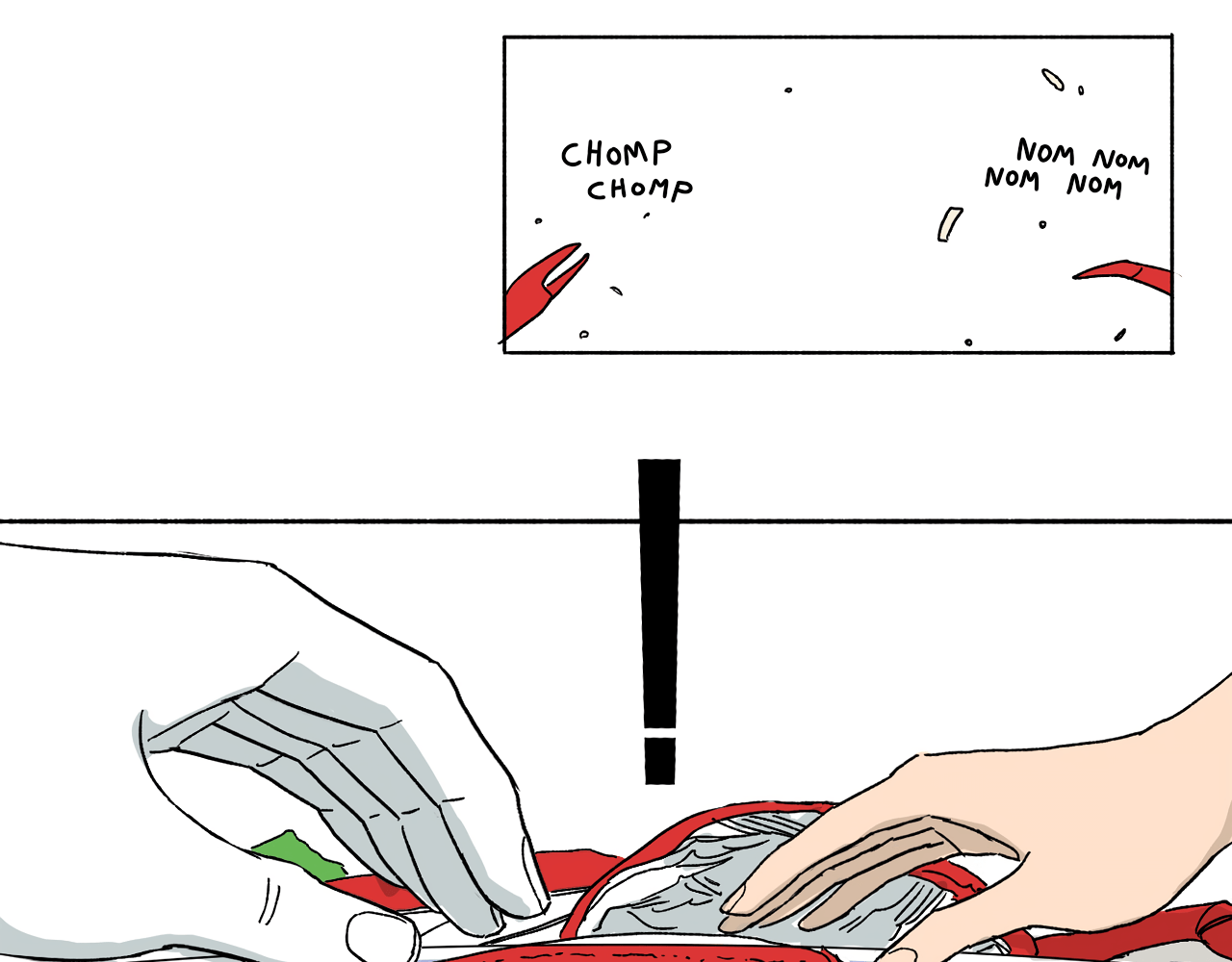 Page 43