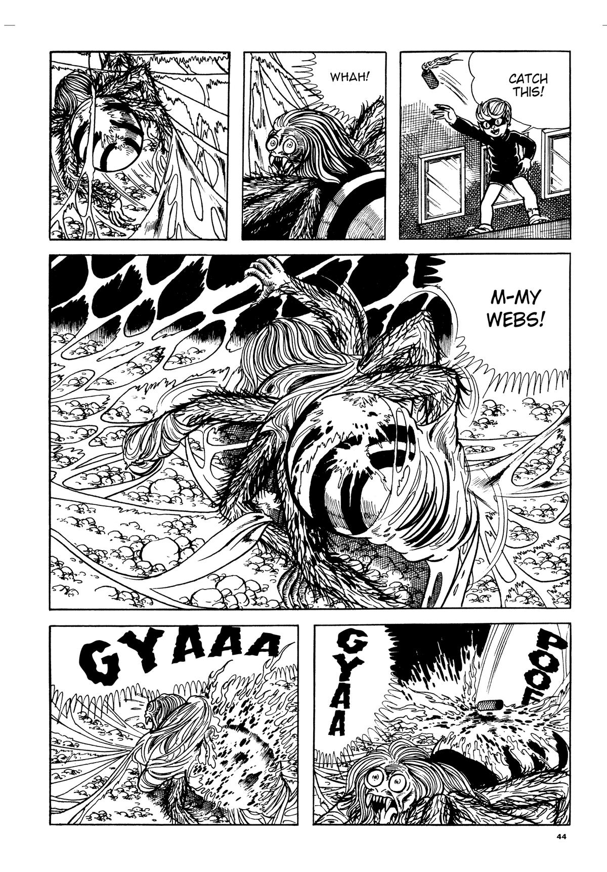 Page 43