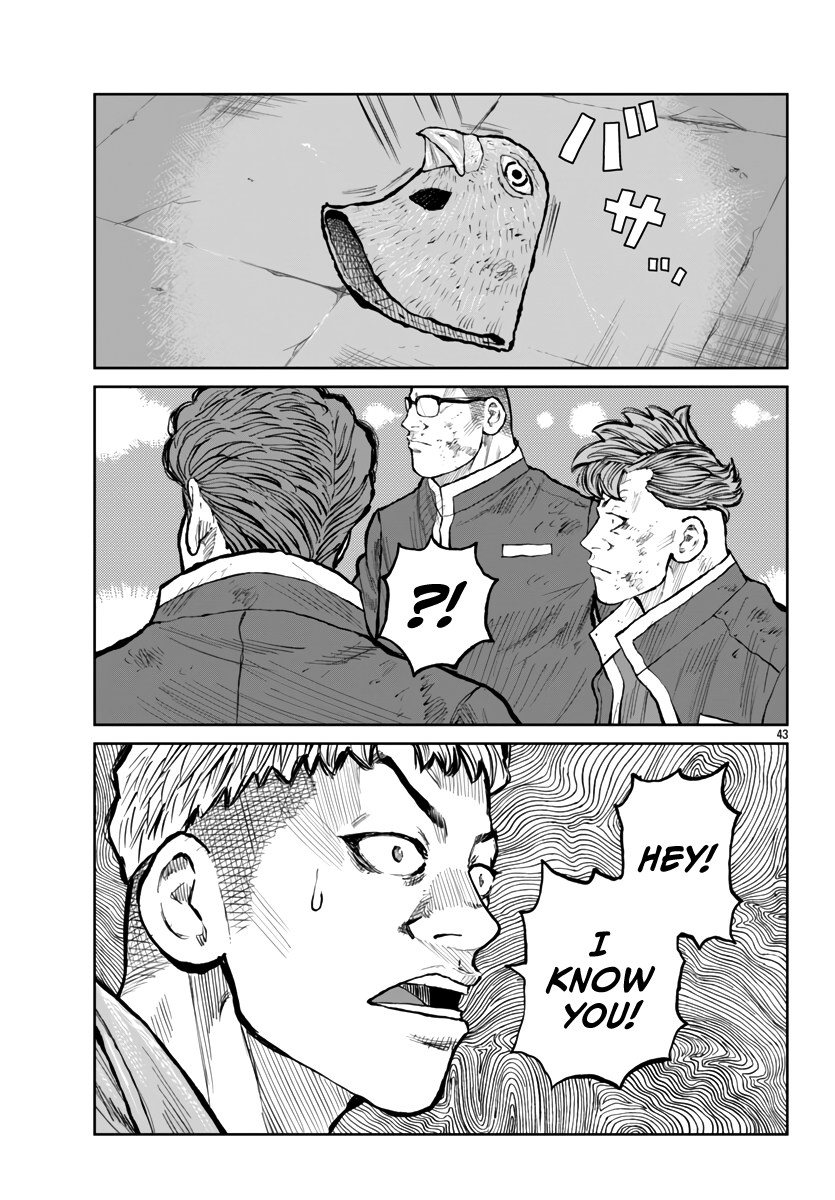 Page 43